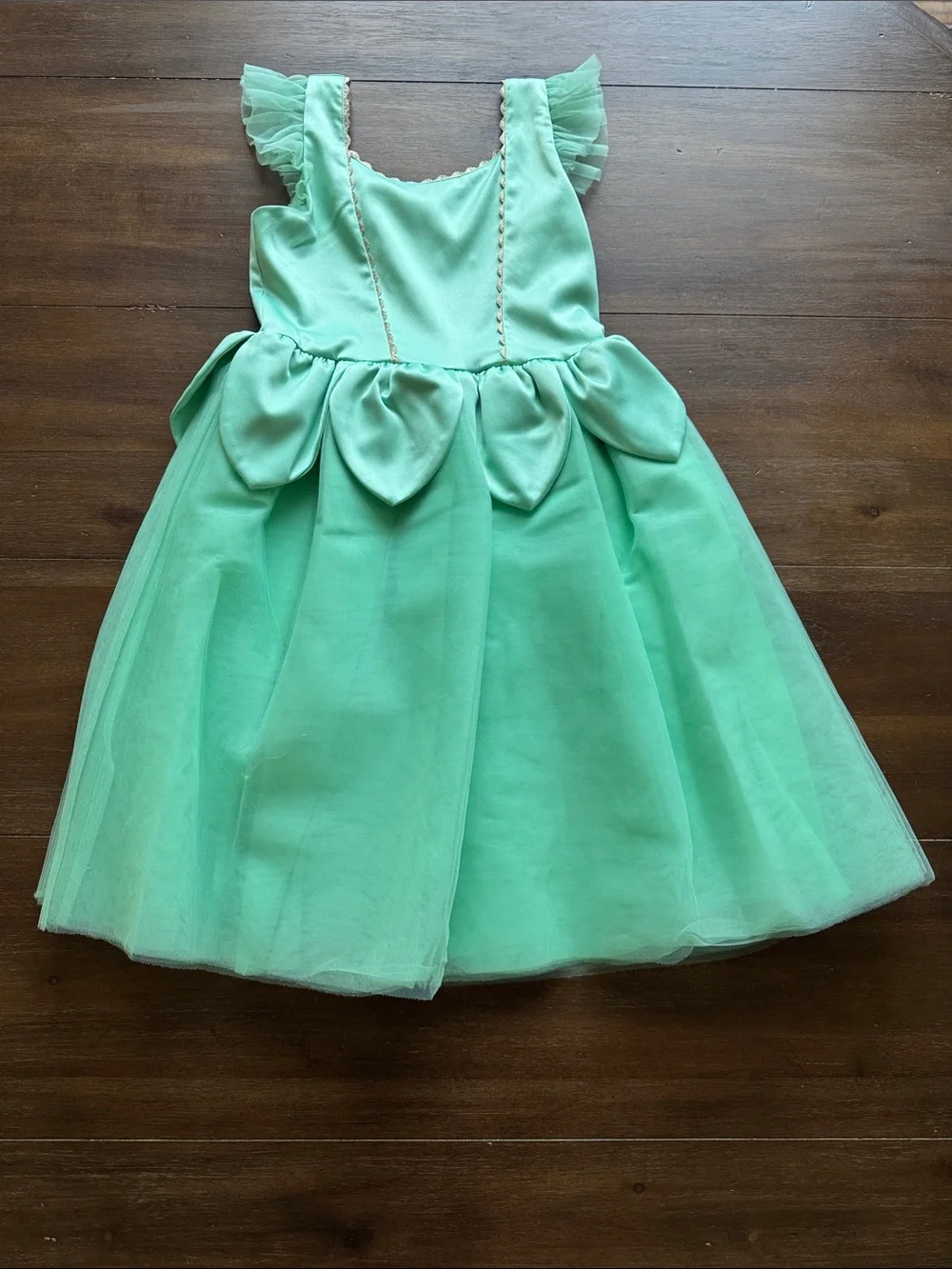 NWOT Sz 10 Disney X Janie and Jack Tiana tulle princess dress